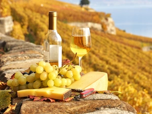 knife, Wine, cheese, Yellow, Grapes