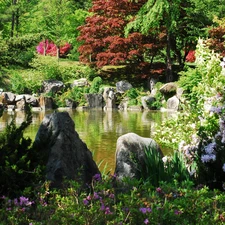 Garden, VEGETATION, Korea, Pond Water