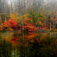 autumn, viewes, lake, trees