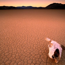 died, Dried, lake, Valley