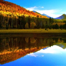 lake, Sky, forest