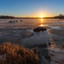 lake, Sunrise, Icecream, trees, Valkeakoski, Finland, grass, Stones, viewes