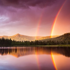 lake, Great Rainbows, forest, forest, Mountains