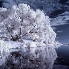 lake, Sky, trees, viewes, White