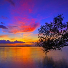 Great Sunsets, trees, lake