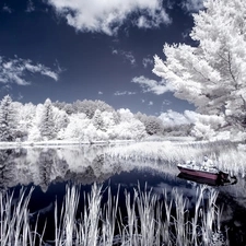 White, viewes, lake, trees