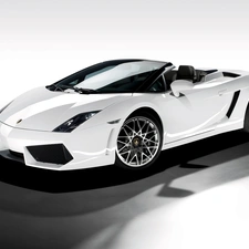 Cabriolet, White, Lamborghini Gallardo