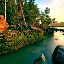 forest, plane, landscape, River