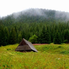 Mountains, nature, car in the meadow, hut, Tatras, landscape