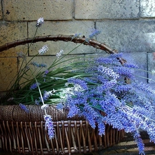 basket, lavender