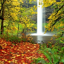 autumn, forest, Leaf, waterfall