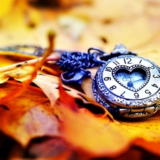 Leaf, Watch, Autumn