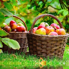 basket, autumn, Leaf, apples