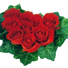 leaf, small bunch, roses, Green, Red