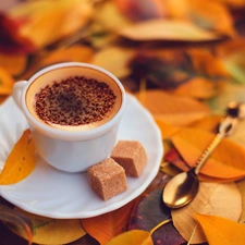 cup, Autumn, Leaf, coffee