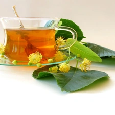 Leaf, tea, cup