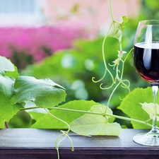 glass, climber, Leaf, Wine