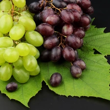 Grapes, leaf