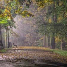 flash, Bench, Przebijające, Fog, ligh, Park, Leaf, autumn, luminosity, sun