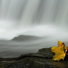 leaf, waterfall, rocks