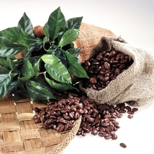 bag, coffee, leaves, grains