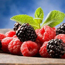 blackberries, green ones, leaves, raspberries