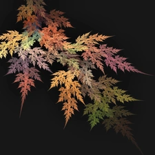 Leaves, composition, Colorful