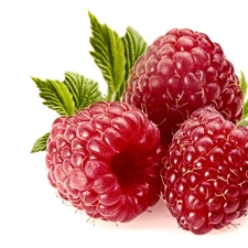 Fruits, green ones, leaves, raspberries