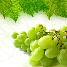 leaves, spray, grapes