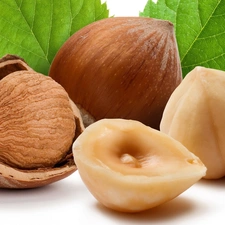 leaves, nuts, hazelnuts