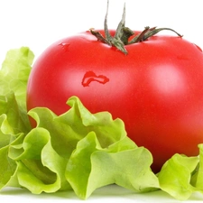 lettuce, Red, tomato