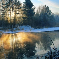 Przebijające, ligh, winter, sun, luminosity, forest, River, flash