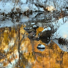 Przebijające, ligh, winter, sun, luminosity, Stones, River, flash