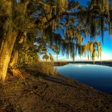 Przebijające, ligh, River, sun, luminosity, viewes, trees, flash