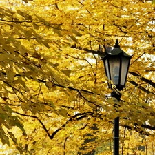 Yellow, Leaf, Lighthouse, Autumn