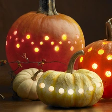 pumpkin, lights