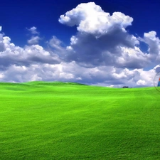 windows, clouds, logo, Meadow