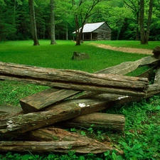 Logs, forest, Home