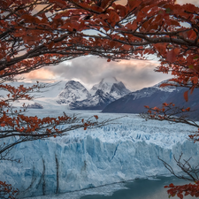 trees, Perito Moreno, Patagonia, Mountains, glacier, Los Glaciares National Park, Argentina