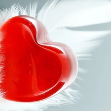 love, Heart, feather