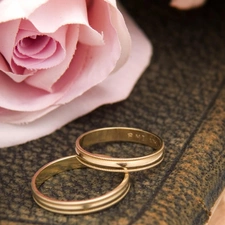 rose, rings, love, Two