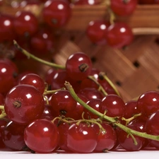 Lubyanka, Red, currants