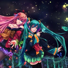 Miku, Luka