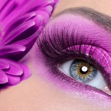 Gerbera, eye, make-up