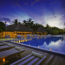 Pool, Maldives, Palms, holiday, deck chair, Restaurant