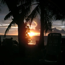 sea, Great Sunsets, Maldives, Palms