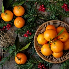 composition, basket, Twigs, mandarin