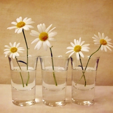 Glass, White, Margaret, water