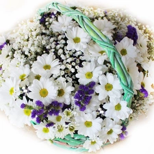 bouquet, white, marguerites, delicate