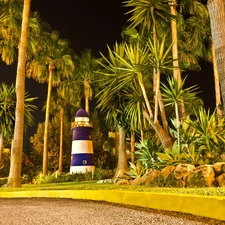Way, Lighthouse, maritime, Palms